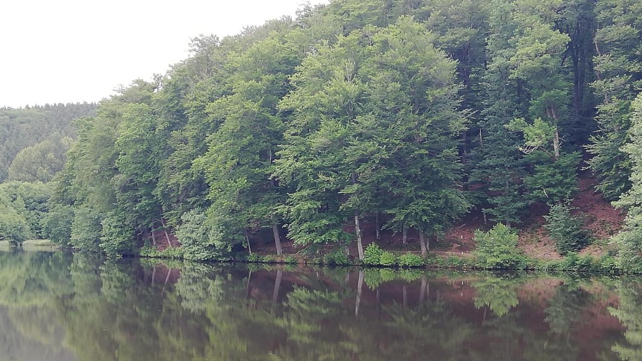 Eifel-Ferienhaus Marga 프룸 외부 사진